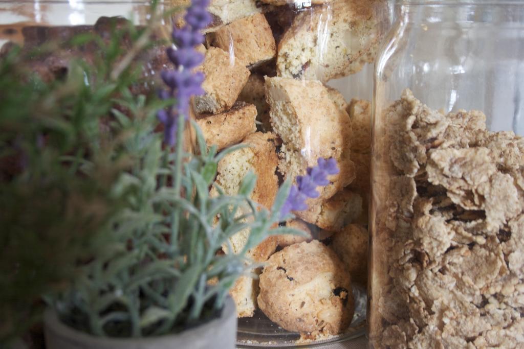 B&B Lavanda E Rosmarino Assisi Ngoại thất bức ảnh