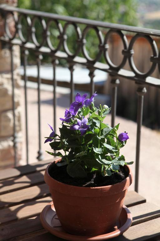 B&B Lavanda E Rosmarino Assisi Ngoại thất bức ảnh