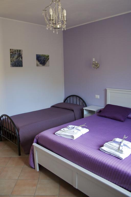 B&B Lavanda E Rosmarino Assisi Ngoại thất bức ảnh